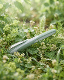 Schneider Ray Fountain Pen Pistachio Color