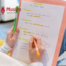 Schneider Shine Up Highlighter